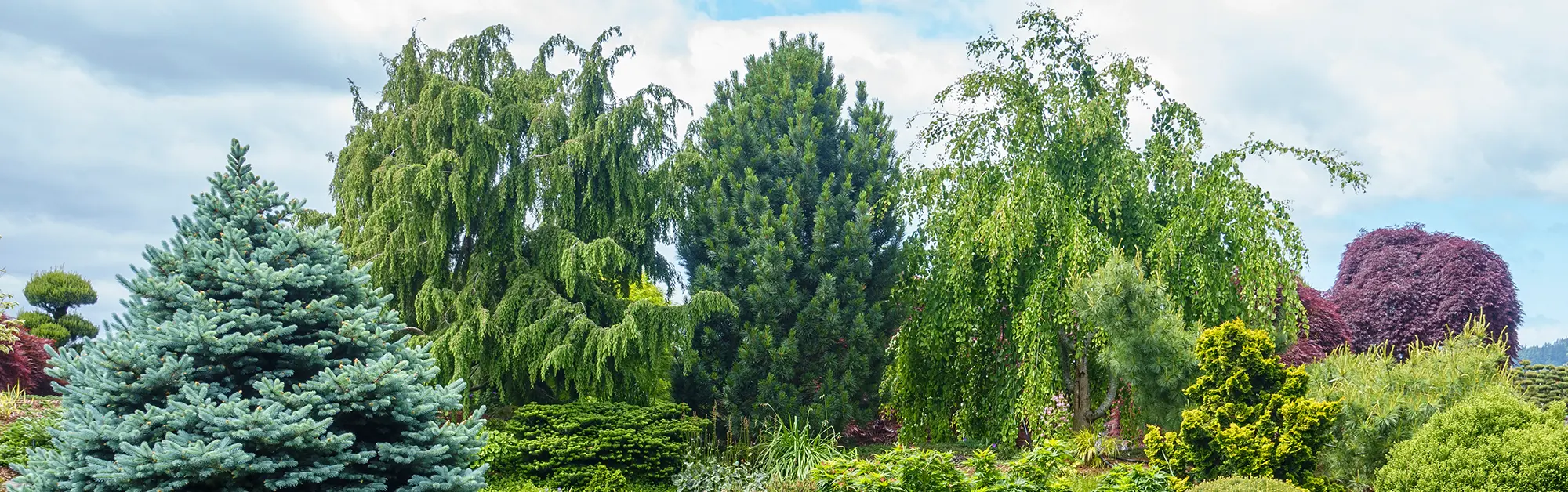 Cultivating Your Dream Garden Since 1849